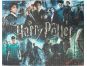 Puzzle Harry Potter 1000 dílků plakát 2