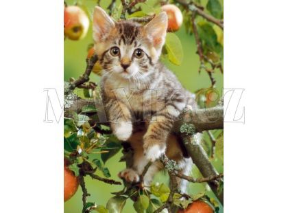 Puzzle Kočička 200 XXL