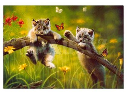 Puzzle Kočičky 500d