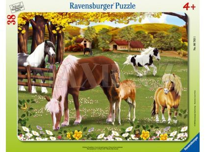 Puzzle Koně 38d