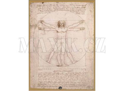 Puzzle LEONARDO-Schéma, 1000d