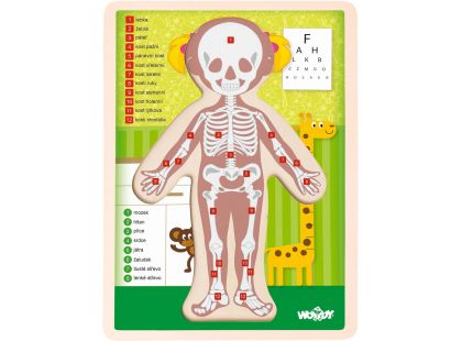 Woody Puzzle Lidské tělo Holka 13 dílků CZ