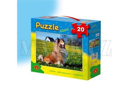 Puzzle Maxi 20 dílů - Kolie
