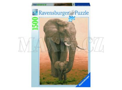 Puzzle Sloní mládě Ravensburger