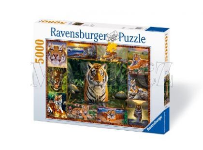 Puzzle Tygři 5000