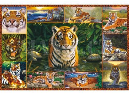 Puzzle Tygři 5000