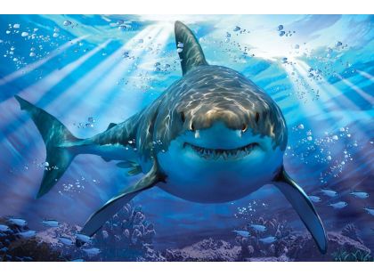 Puzzle Žralok 500 dílků 3D