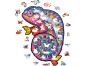 Puzzler Dřevěné barevné puzzle Hypnotický chameleon 3