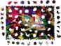 Puzzler Dřevěné barevné puzzle Úžasný chameleon 2