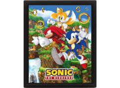Pyramid International Sonic 3D obraz Catching Rings