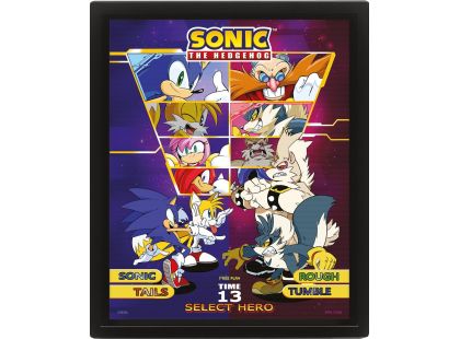 Pyramid International Sonic 3D obraz Select your Fighter