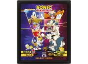 Pyramid International Sonic 3D obraz Select your Fighter