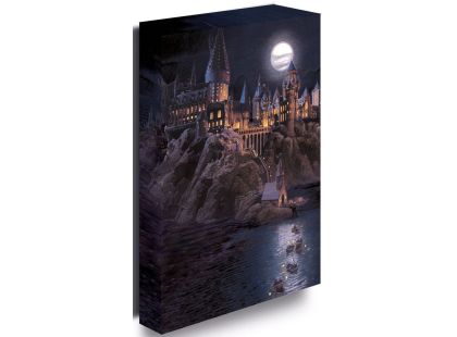 Pyramid International Harry Potter Obraz LED svítící 30x40 cm Bradavice hrad