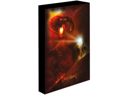 Pyramid International Pán Prstenů Obraz LED svítící 30x40 cm Balrog