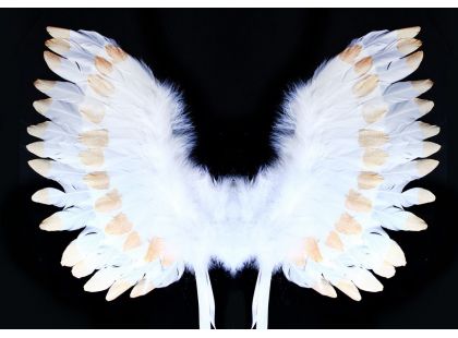 Rappa Křídla andělská s peřím bílozlatá