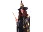 Rappa Čarodějnický plášť s kloboukem a pavučinou pro dospělé Halloween 3