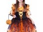 Rappa Dětský kostým oranžová čarodějnice s kloboukem 105 - 116 cm 3