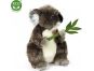 Rappa Plyšová koala 30 cm Eco Friendly 2