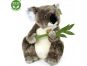 Rappa Plyšová koala 30 cm Eco Friendly 3