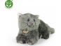 Rappa Plyšová perská kočka šedá ležící 30 cm Eco Friendly 3