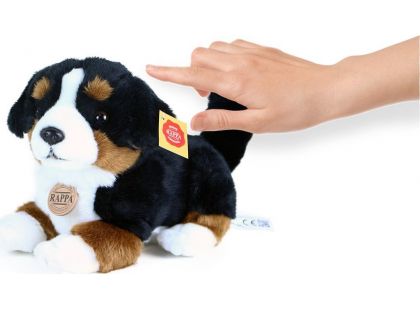 Rappa plyšový kamarád pes Berny interaktivní 25 cm
