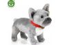 Rappa Plyšový pes buldoček šedý 30cm Eco Friendly 2