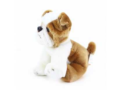 Rappa plyšový pes bulldog 26 cm Eco Friendly