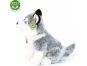 Rappa Plyšový pes Husky sedící 30 cm Eco Friendly 3