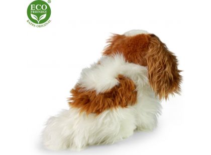 Rappa plyšový pes King Charles Španěl 25 cm Eco Friendly