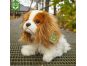 Rappa plyšový pes King Charles Španěl 25 cm Eco Friendly 5