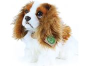 Rappa plyšový pes King Charles Španěl 25 cm Eco Friendly