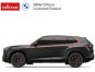 Rastar RC 1:24 BMW XM 4