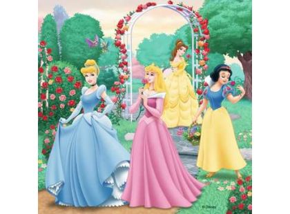 Ravensburger Disney Princezny 3 x 49 dílků