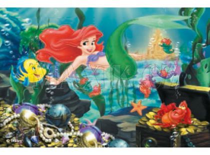 Ravensburger Kostky princezny - 12ks