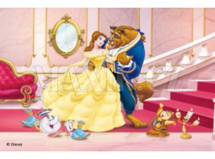 Ravensburger Kostky princezny - 12ks