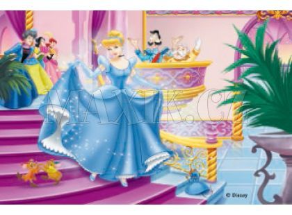 Ravensburger Kostky princezny - 12ks