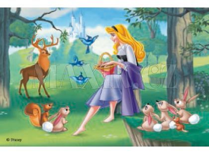 Ravensburger Kostky princezny - 12ks