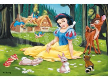 Ravensburger Kostky princezny - 12ks