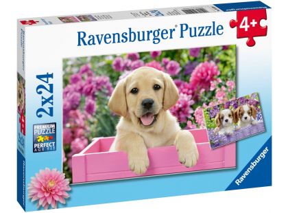 Ravensburger Puzzle Kouzelná štěňata 2 x 24 dílků