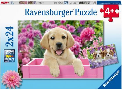 Ravensburger Puzzle Kouzelná štěňata 2 x 24 dílků
