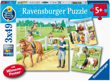 Ravensburger Puzzle 051298 Koně 3x49 dílků