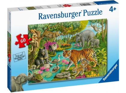 Ravensburger Puzzle Lesy Indie 60 dílků