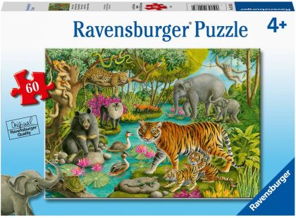 Ravensburger Puzzle Lesy Indie 60 dílků