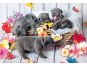 Ravensburger Puzzle Roztomilá štěňátka 2 x 12 dílků 2