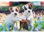 Ravensburger Puzzle Roztomilá štěňátka 2 x 12 dílků 3