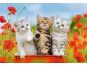 Ravensburger puzzle 076260 Dobrodružství s koťaty 2x12 dílků 2