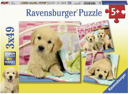 Ravensburger Puzzle Krásná štěňátka 3 x 49 dílků