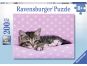 Ravensburger Puzzle Roztomilé koťátko na růžové dece 200 XXL dílků 2