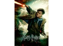 Ravensburger puzzle 128693 Harry Potter 100 XXL dílků