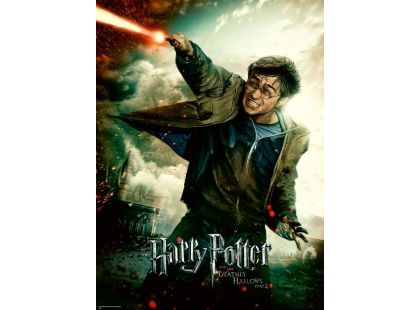 Ravensburger Puzzle Harry Potter 100 XXL dílků